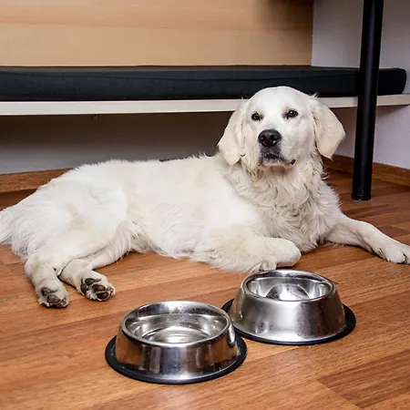 Ibis Stare 2* Poznań