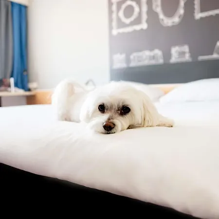 Hotell Ibis Stare Poznań