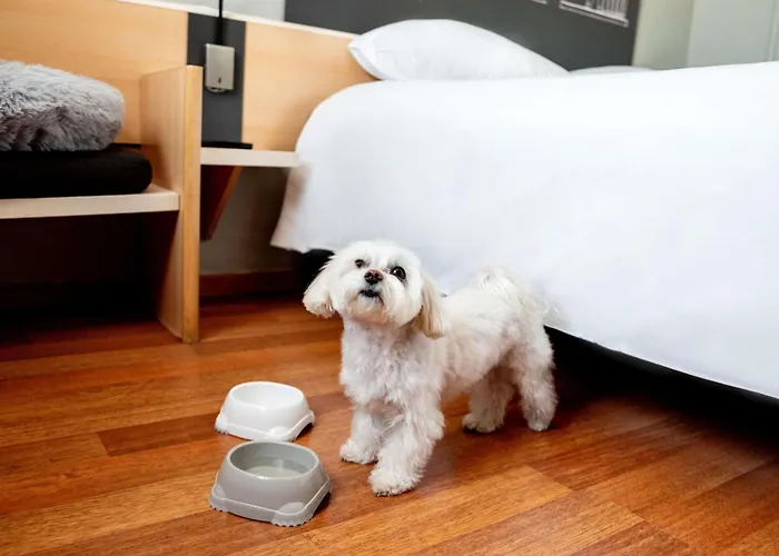 Ibis Stare 2* 포즈난