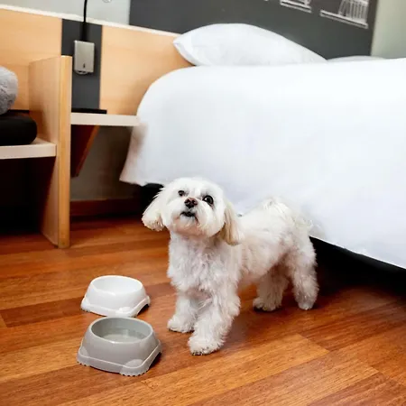 Ibis Stare 2* Poznan