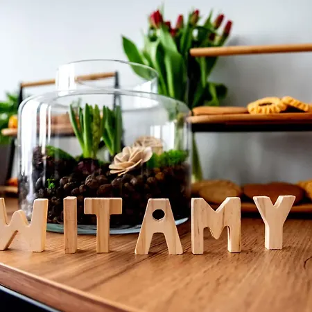 Ibis Stare מלון פוזנן