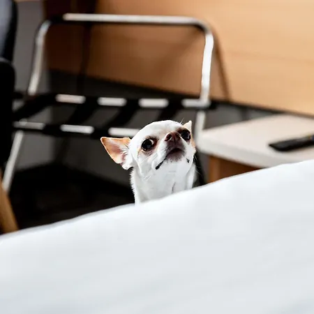 Ibis Stare Szálloda 2*