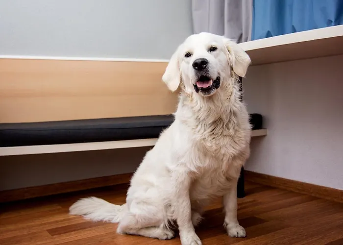 Ibis Stare פוזנן