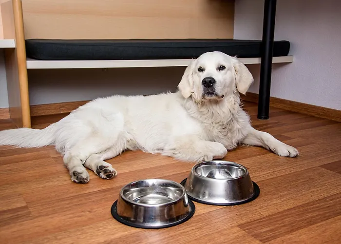 Ibis Stare 2* ポズナン