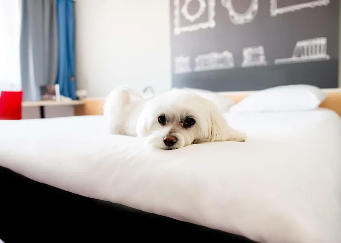 Hotel Ibis Stare Poznań